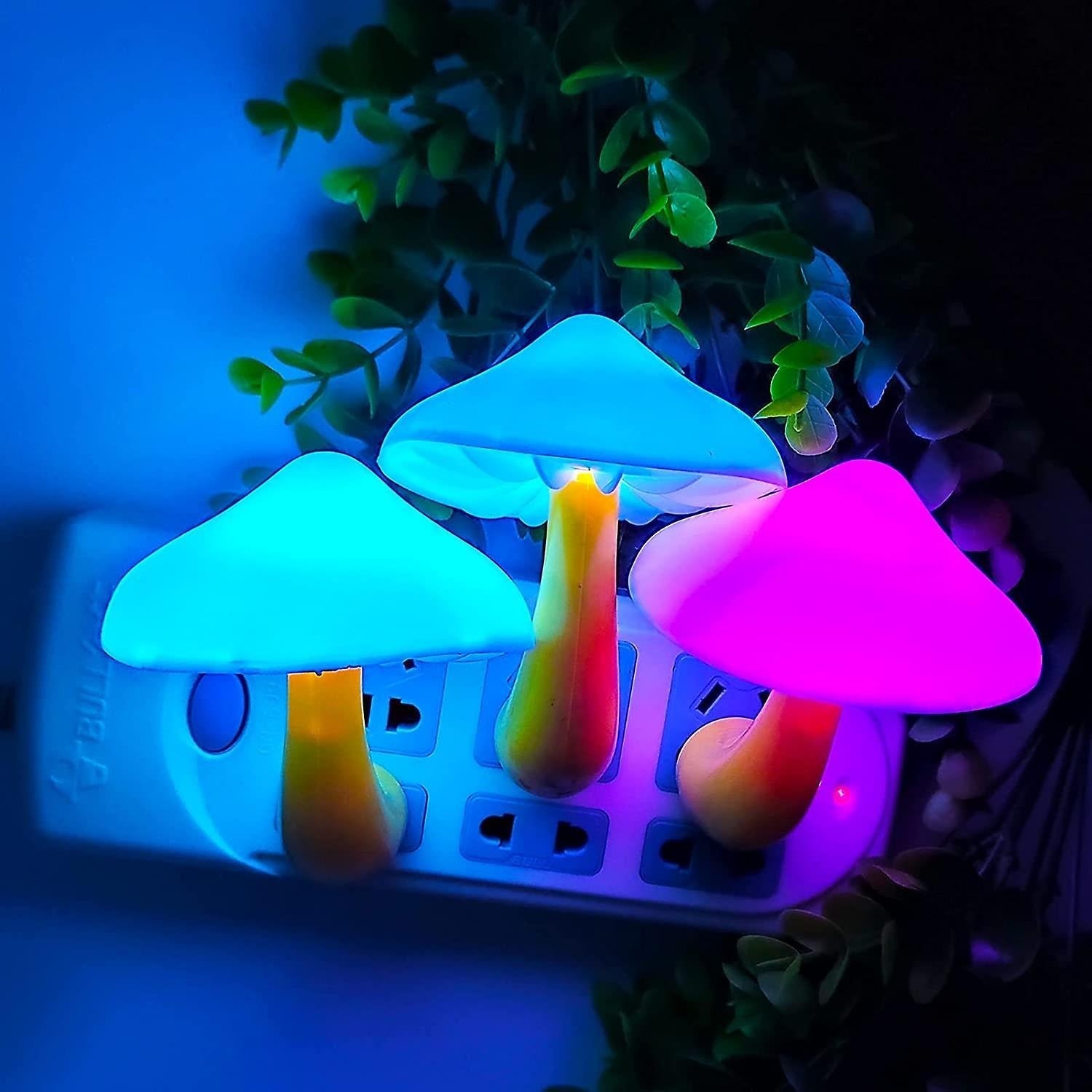 decor